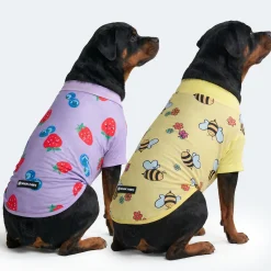 Sunblock Dog T-Shirt 2-pack