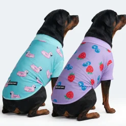 Sunblock Dog T-Shirt 2-pack