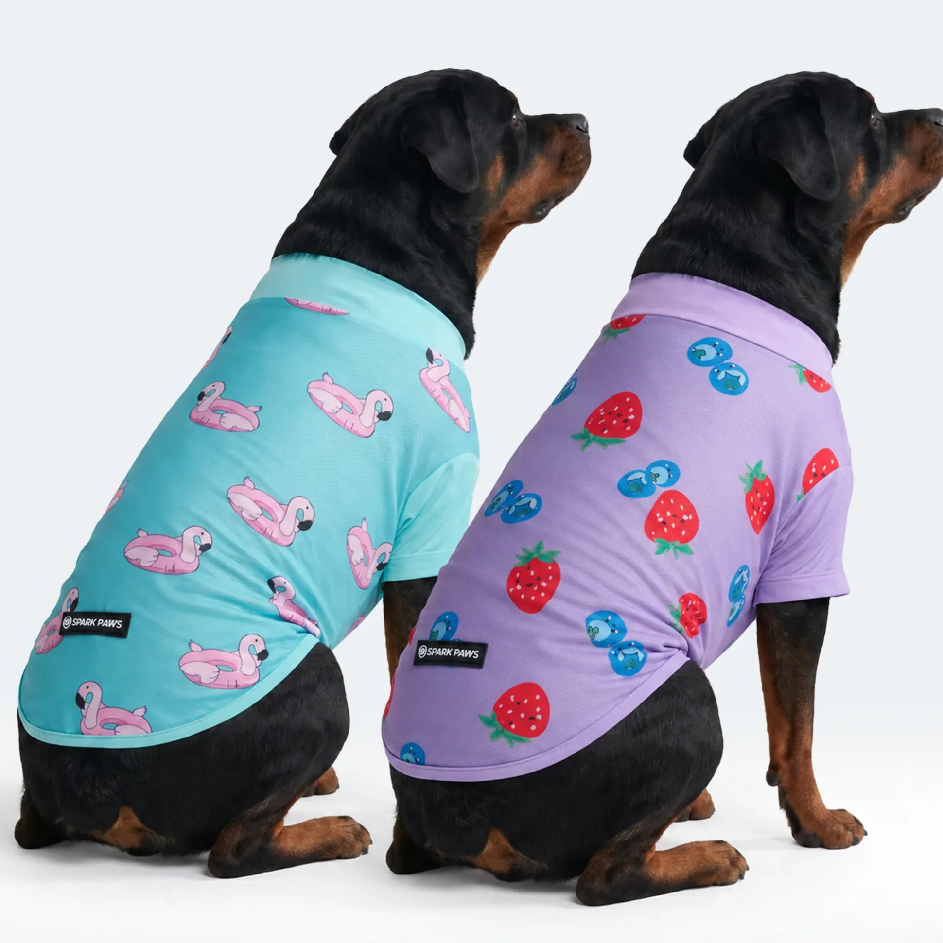 Sunblock Dog T-Shirt 2-pack