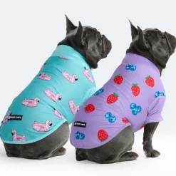 Sunblock Dog T-Shirt 2-pack