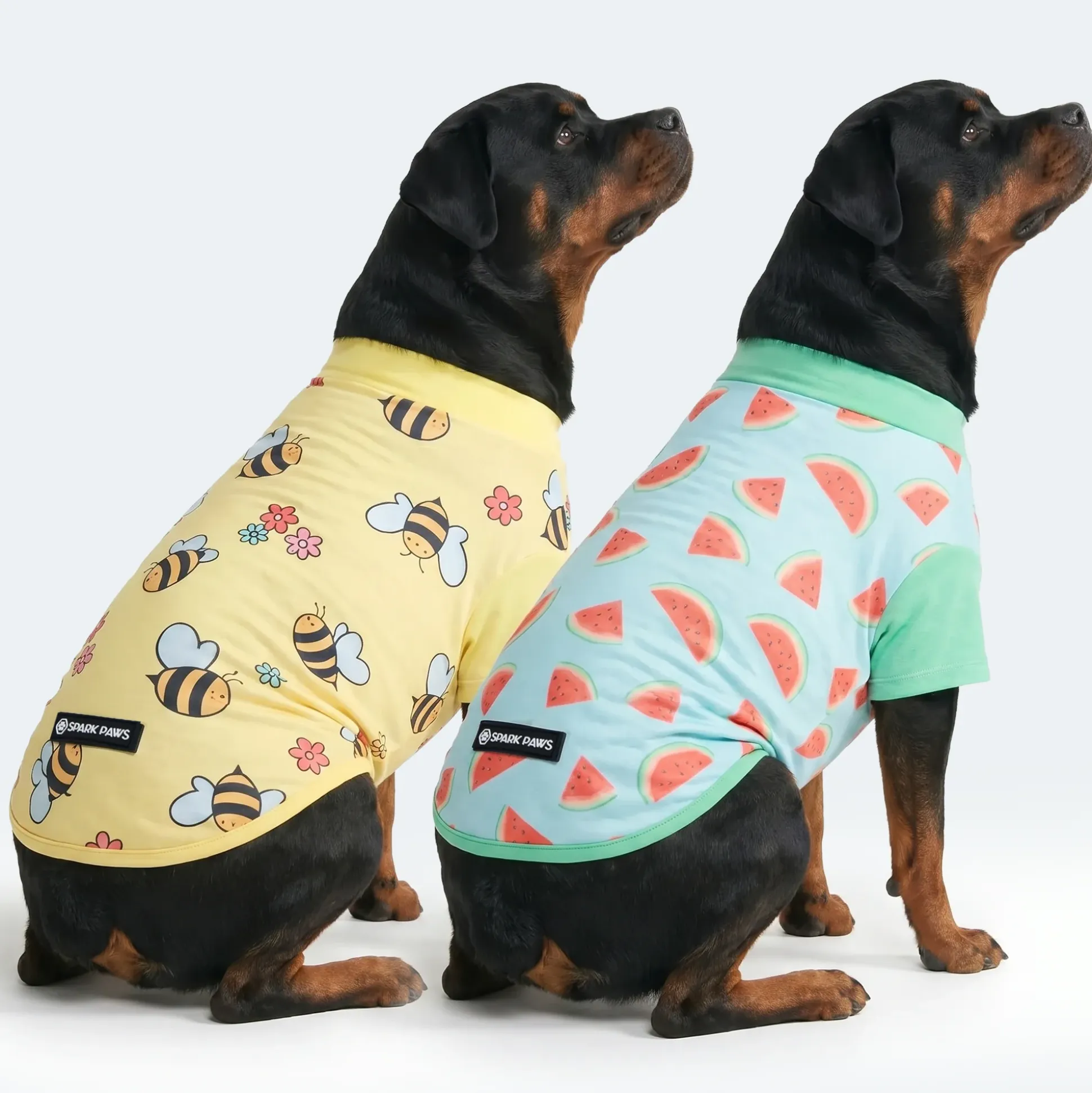 Sunblock Dog T-Shirt 2-pack