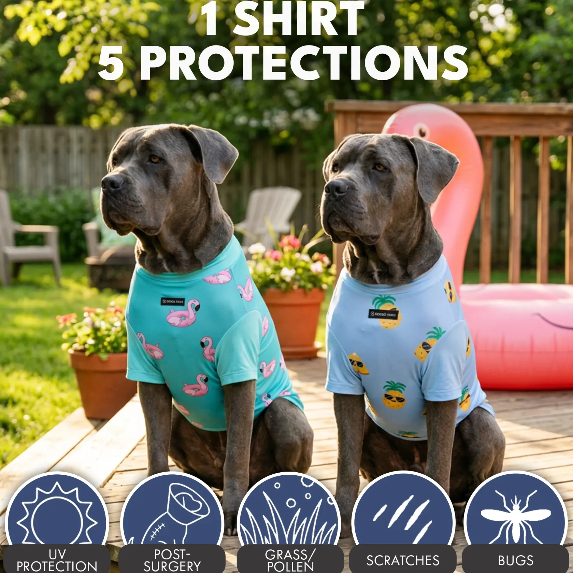 Sunblock Dog T-Shirt 2-pack