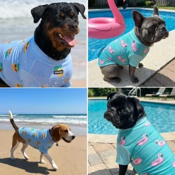Sunblock Dog T-Shirt 2-pack
