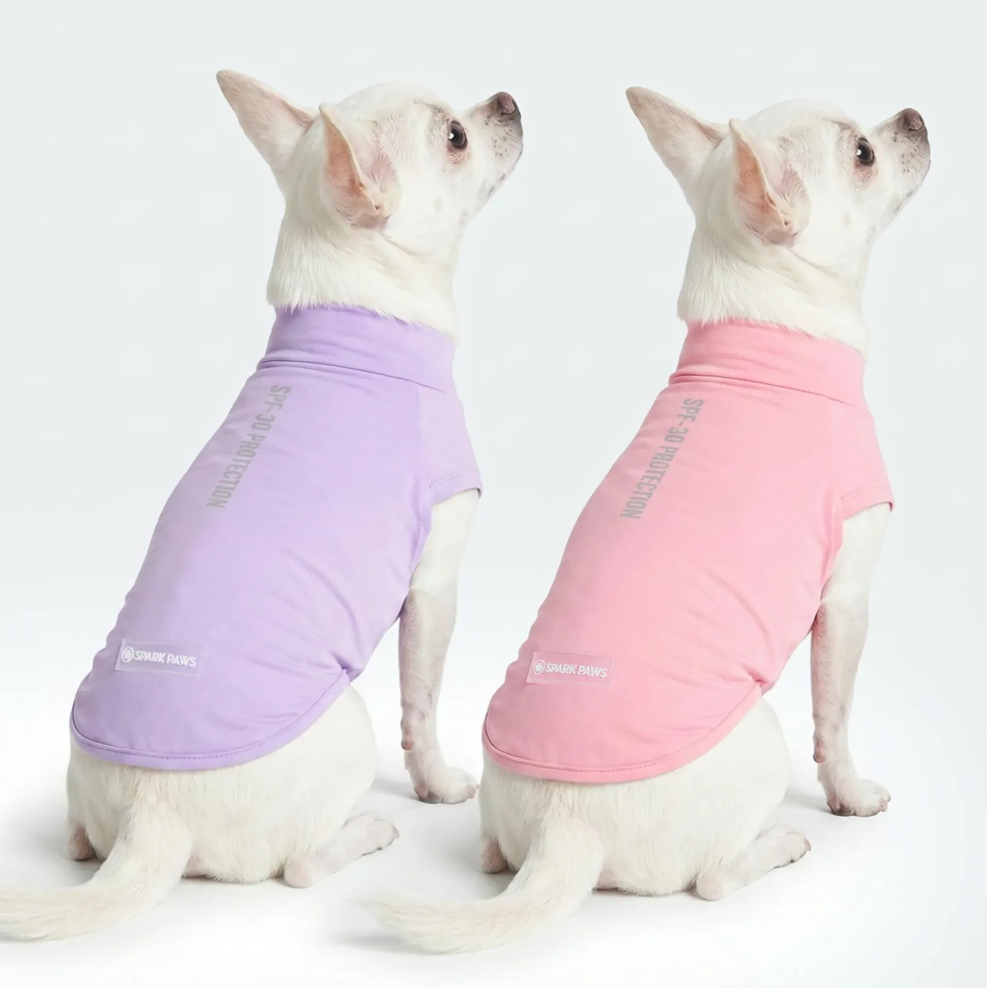 Sunblock Dog T-Shirt 2-pack