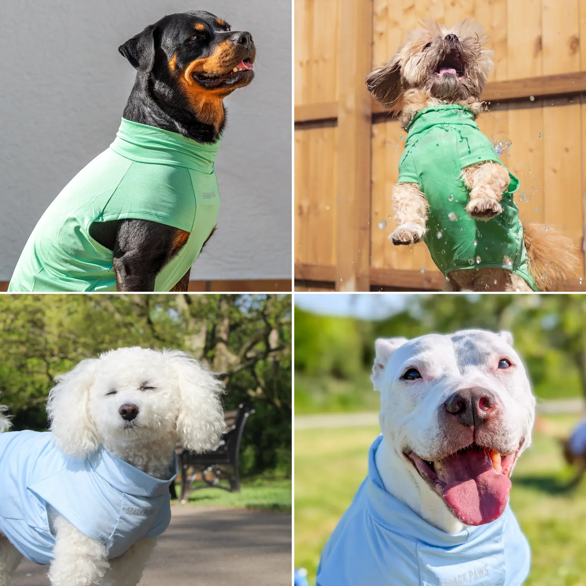 Sunblock Dog T-Shirt 2-pack