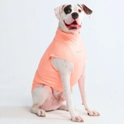 Sunblock Dog T-Shirt - Peach