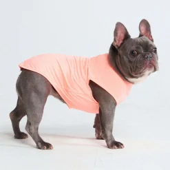 Sunblock Dog T-Shirt - Peach