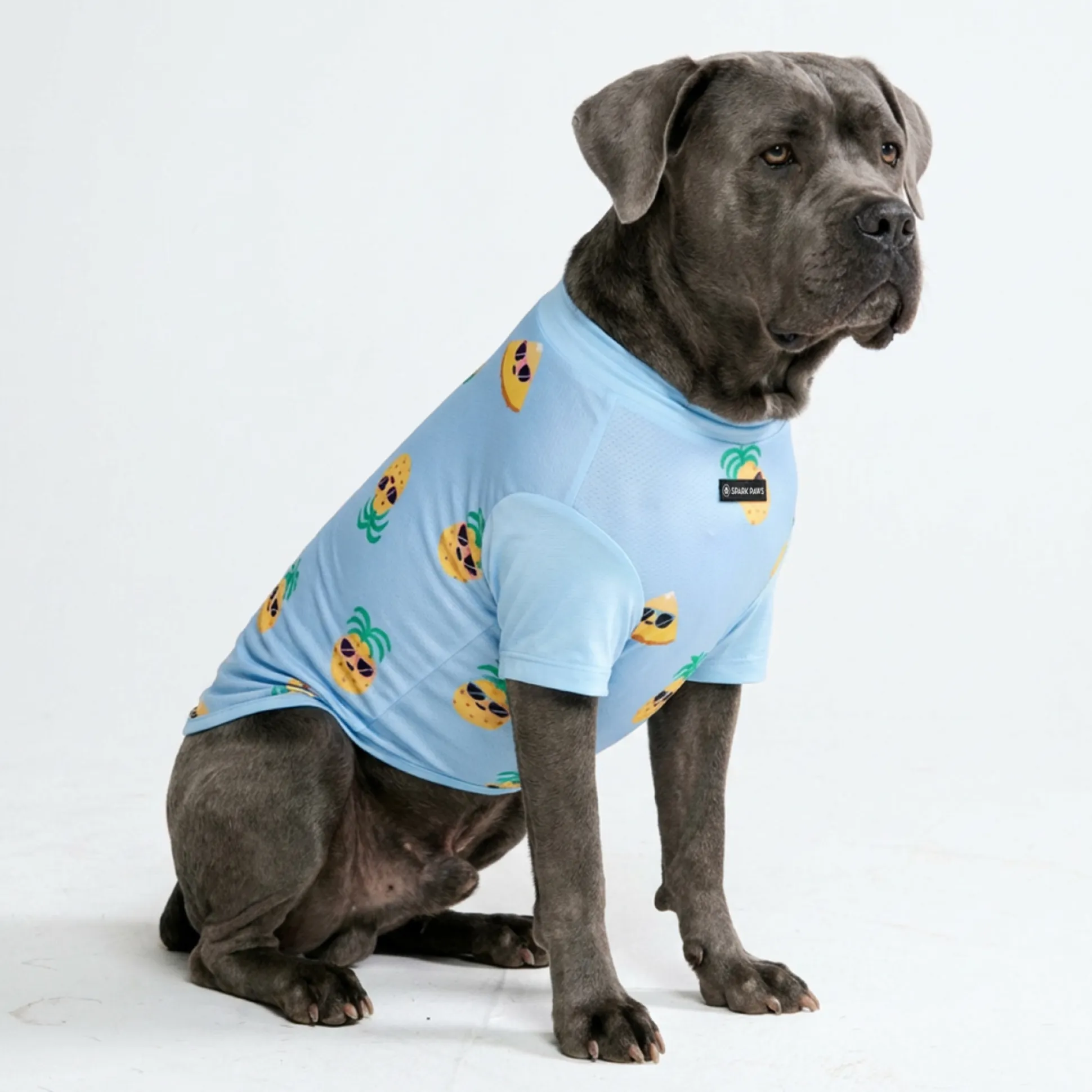 Sunblock Dog T-Shirt - Pineapple