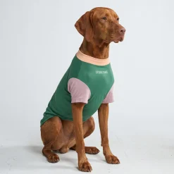 Sunblock Dog T-Shirt - Pistachio