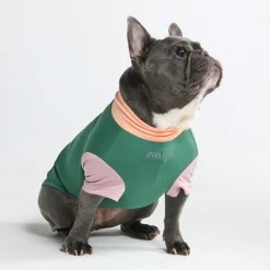Sunblock Dog T-Shirt - Pistachio