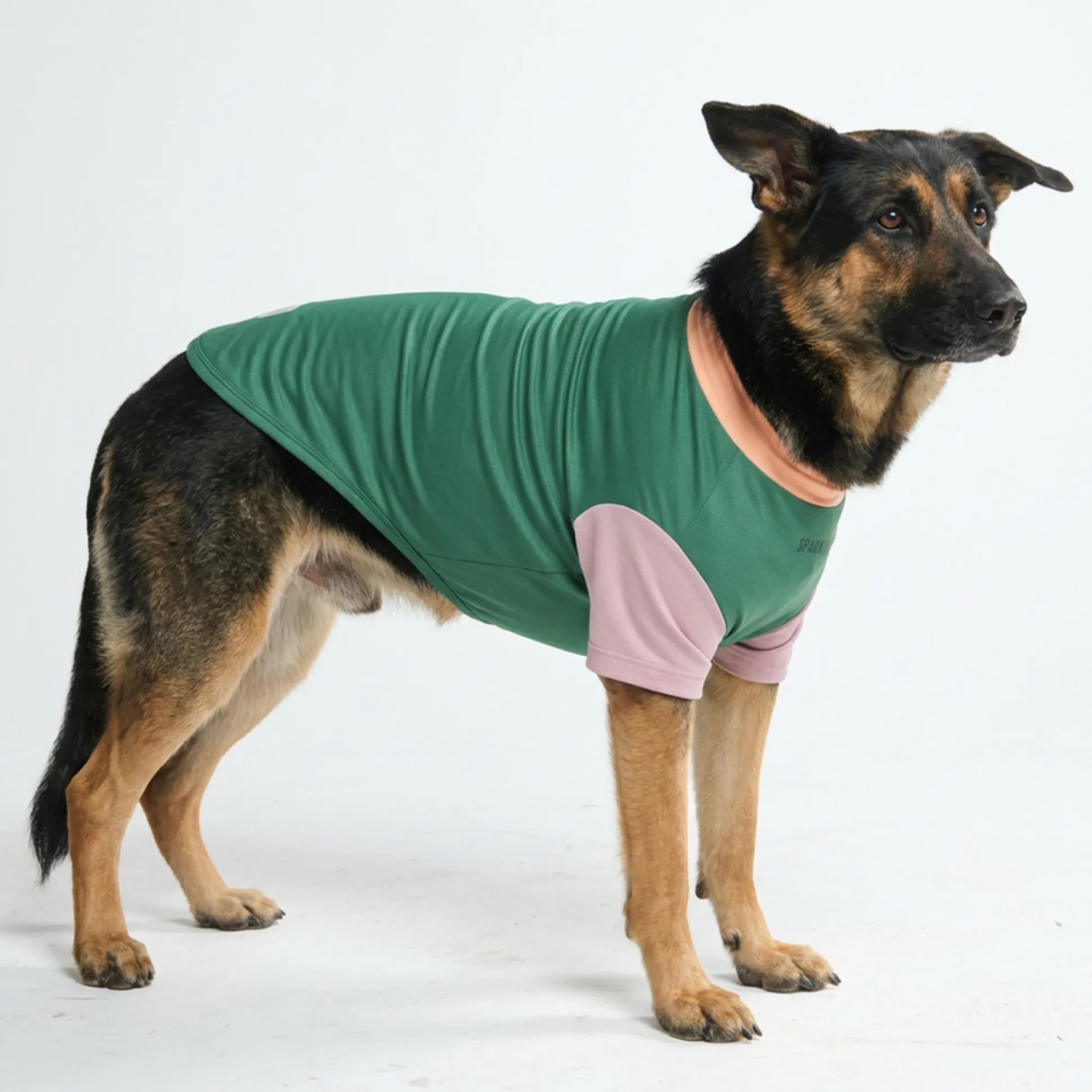 Sunblock Dog T-Shirt - Pistachio