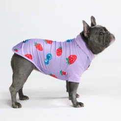 Sunblock Dog T-Shirt - Prints