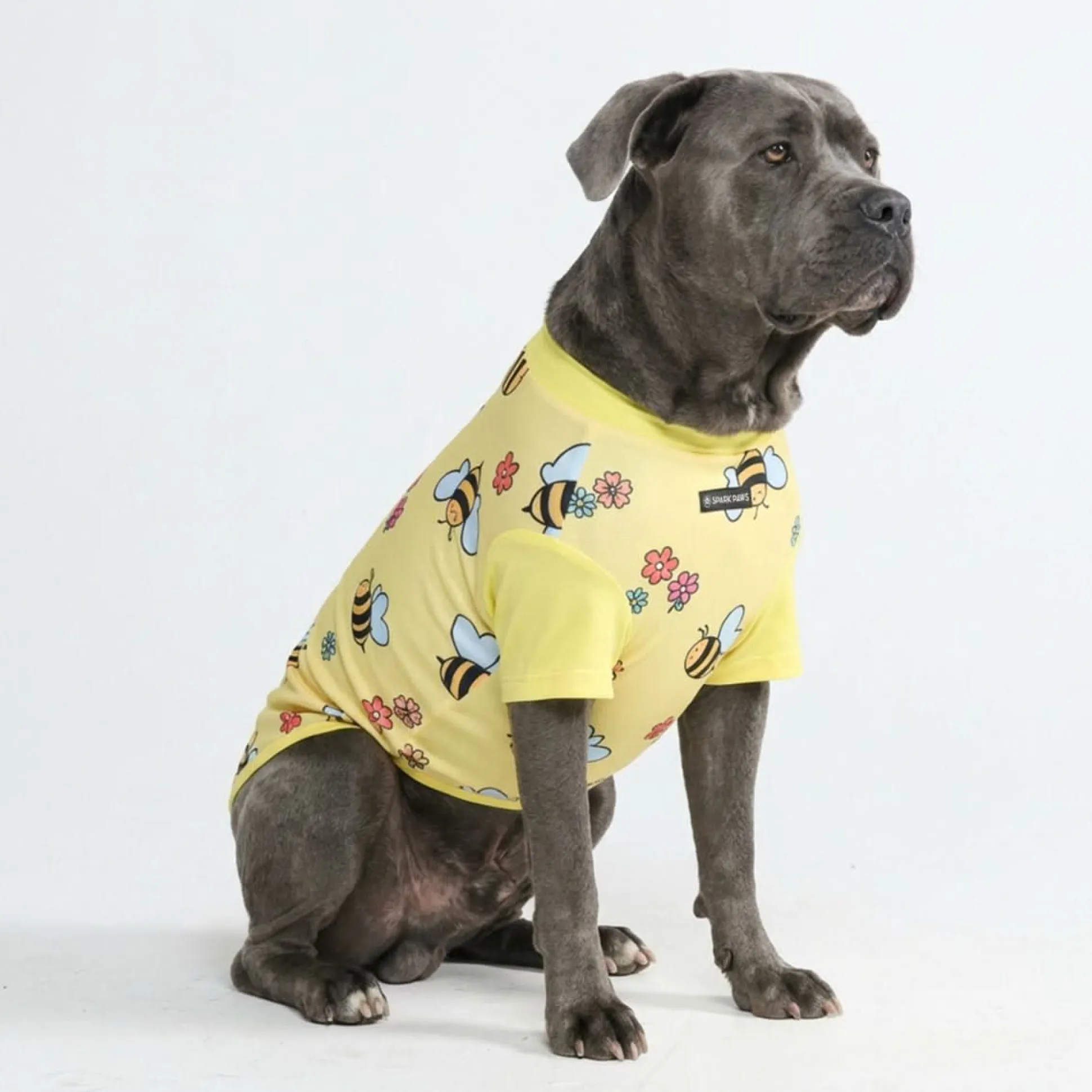 Sunblock Dog T-Shirt - Prints