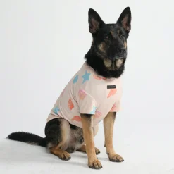 Sunblock Dog T-Shirt - Prints