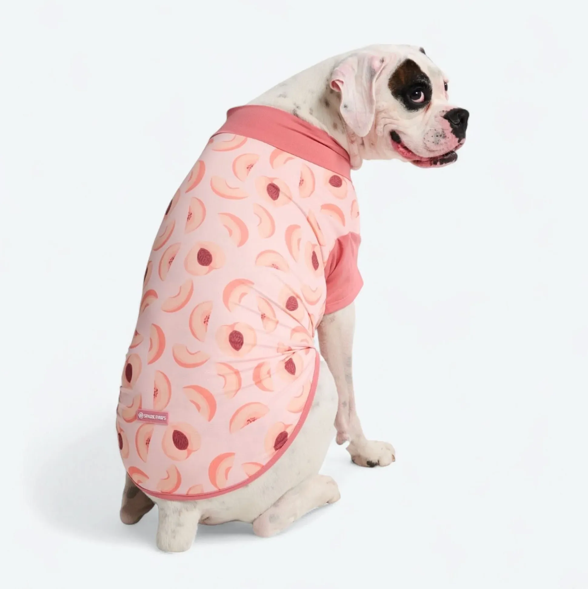 Sunblock Dog T-Shirt - Prints