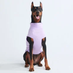 Sunblock Dog T-Shirt - Purple