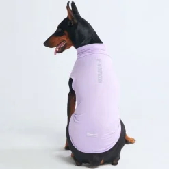 Sunblock Dog T-Shirt - Purple