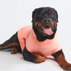 Sunblock Dog T-Shirts