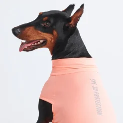 Sunblock Dog T-Shirts