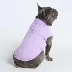 Sunblock Dog T-Shirts