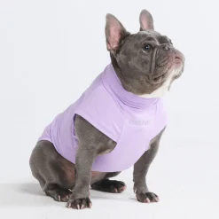 Sunblock Dog T-Shirts