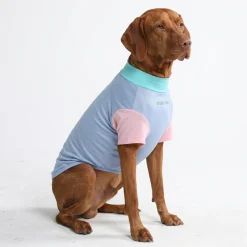 Sunblock Dog T-Shirt - Sorbet