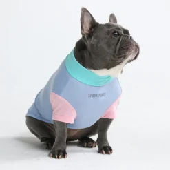Sunblock Dog T-Shirt - Sorbet