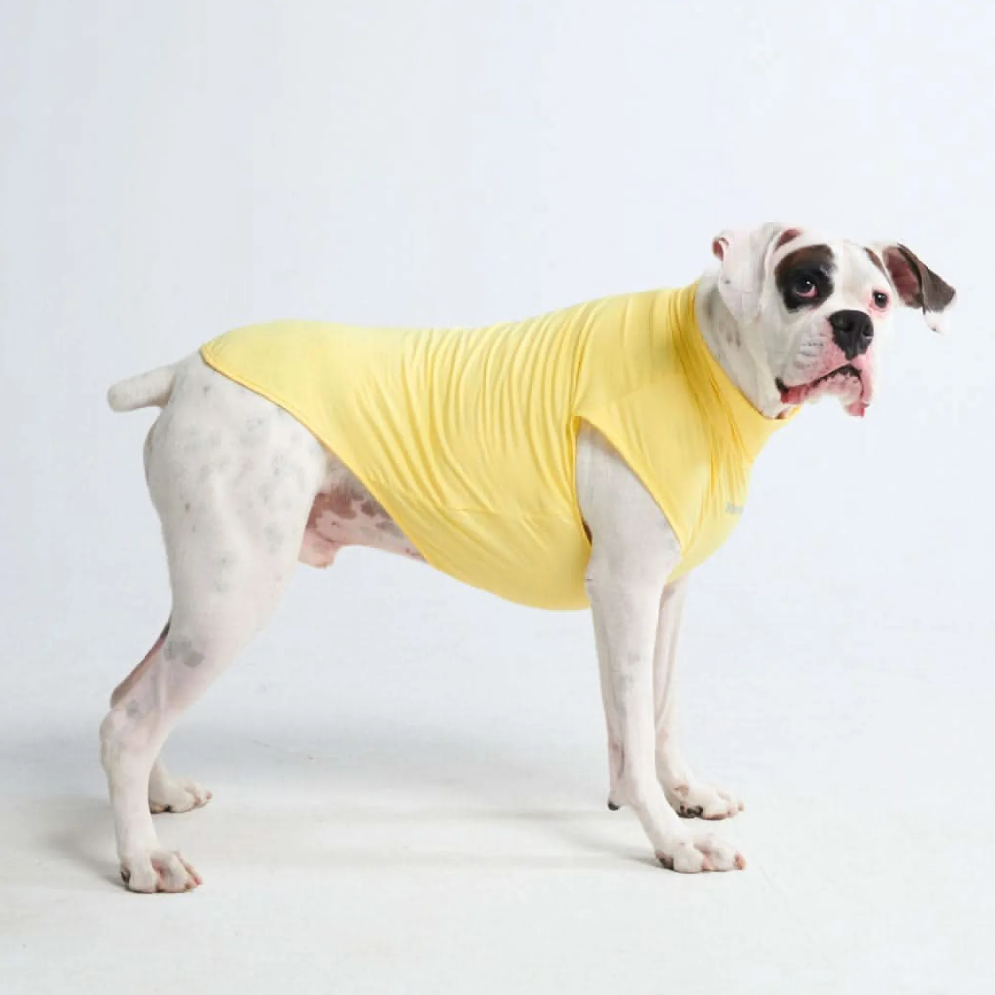 Sunblock Dog T-Shirt - Yellow