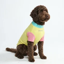 Sunblock Dog T-Shirt - Yuzu