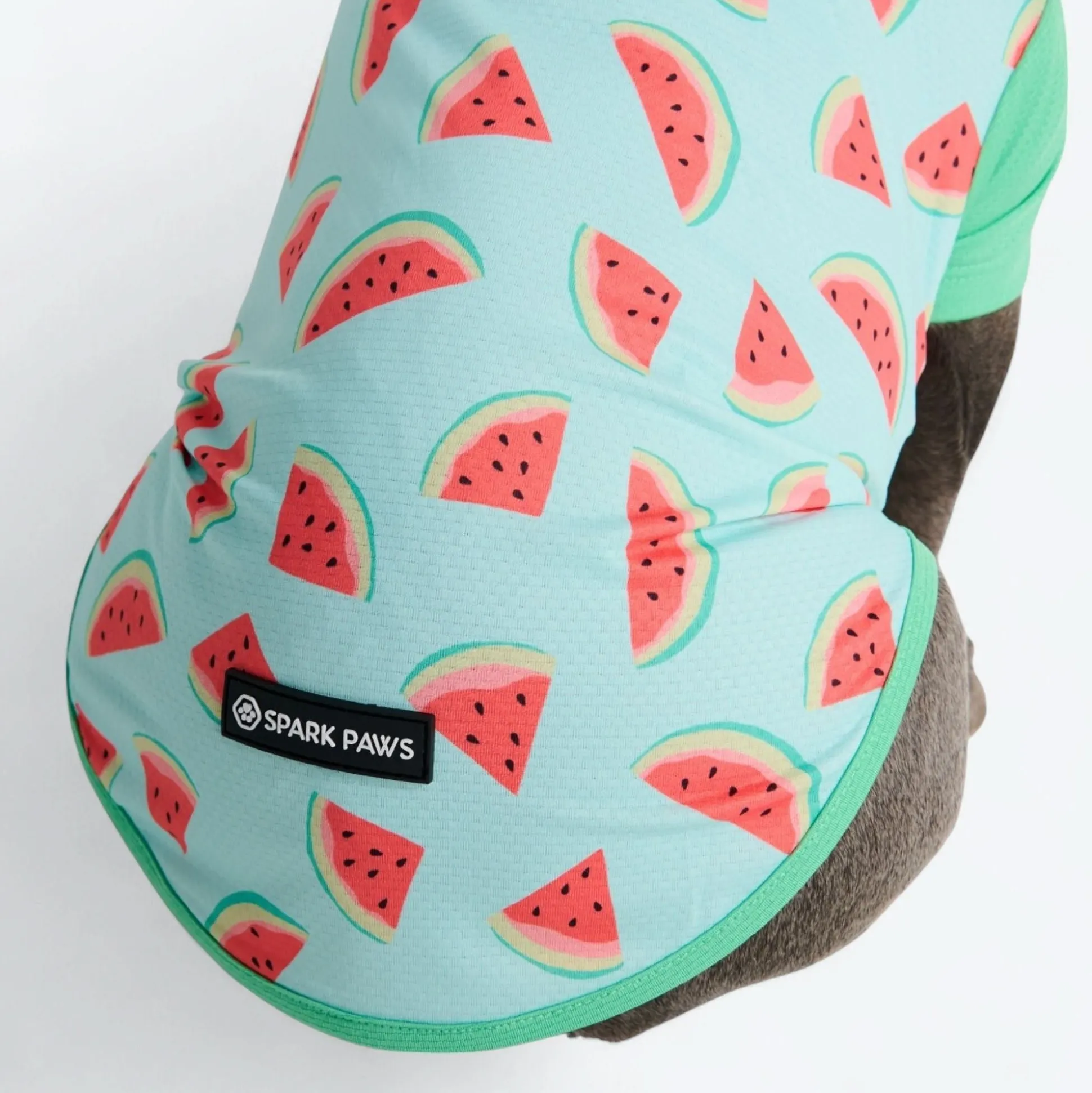 Sunblock Shirt - Watermelon