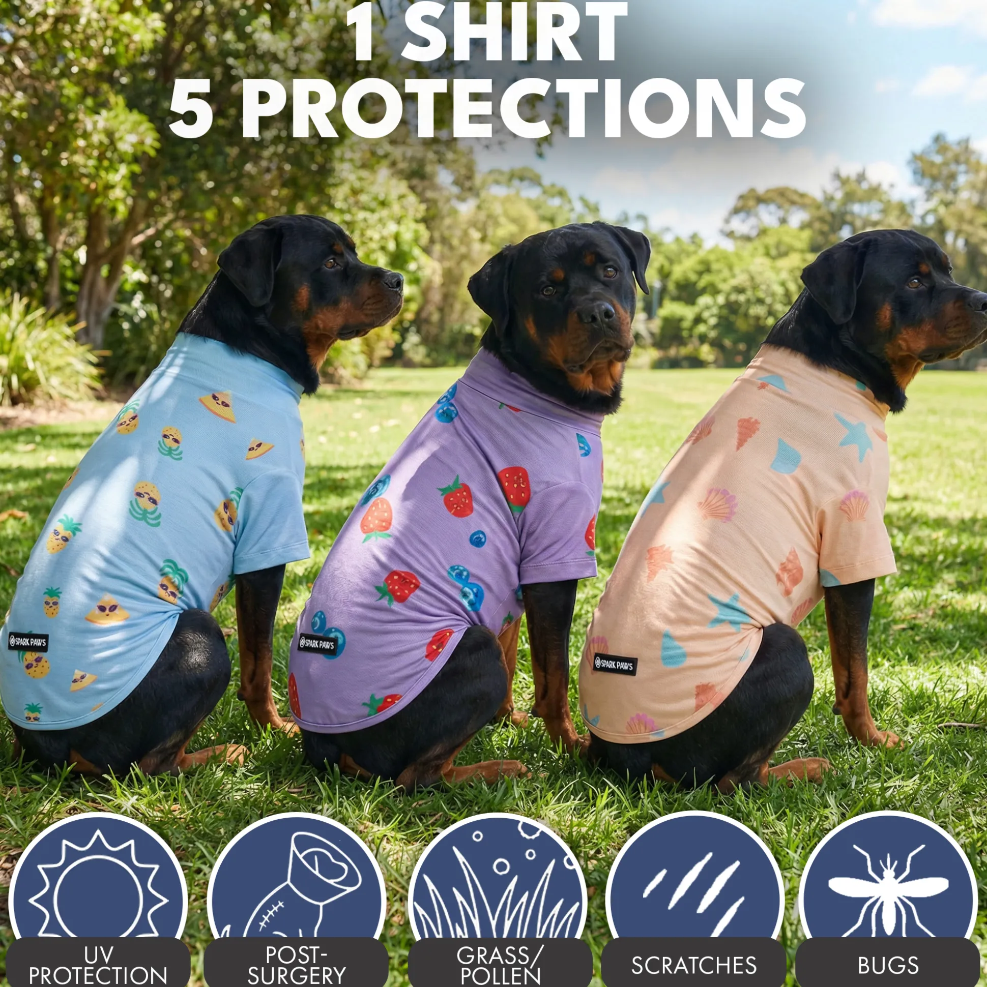 Sunblock T-Shirt 3 Pack