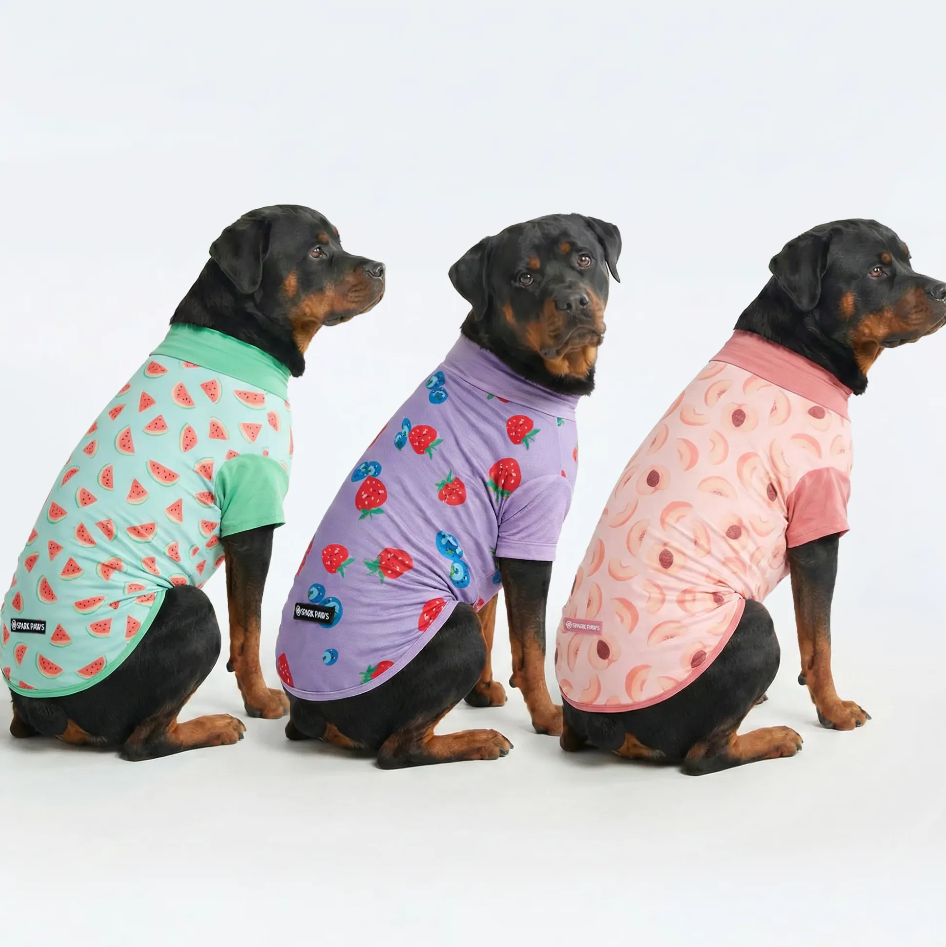 Sunblock T-Shirt 3 Pack