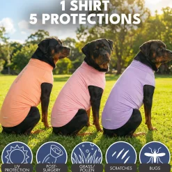 Sunblock T-Shirt 3 Pack