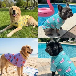 Sunblock T-Shirt 3 Pack