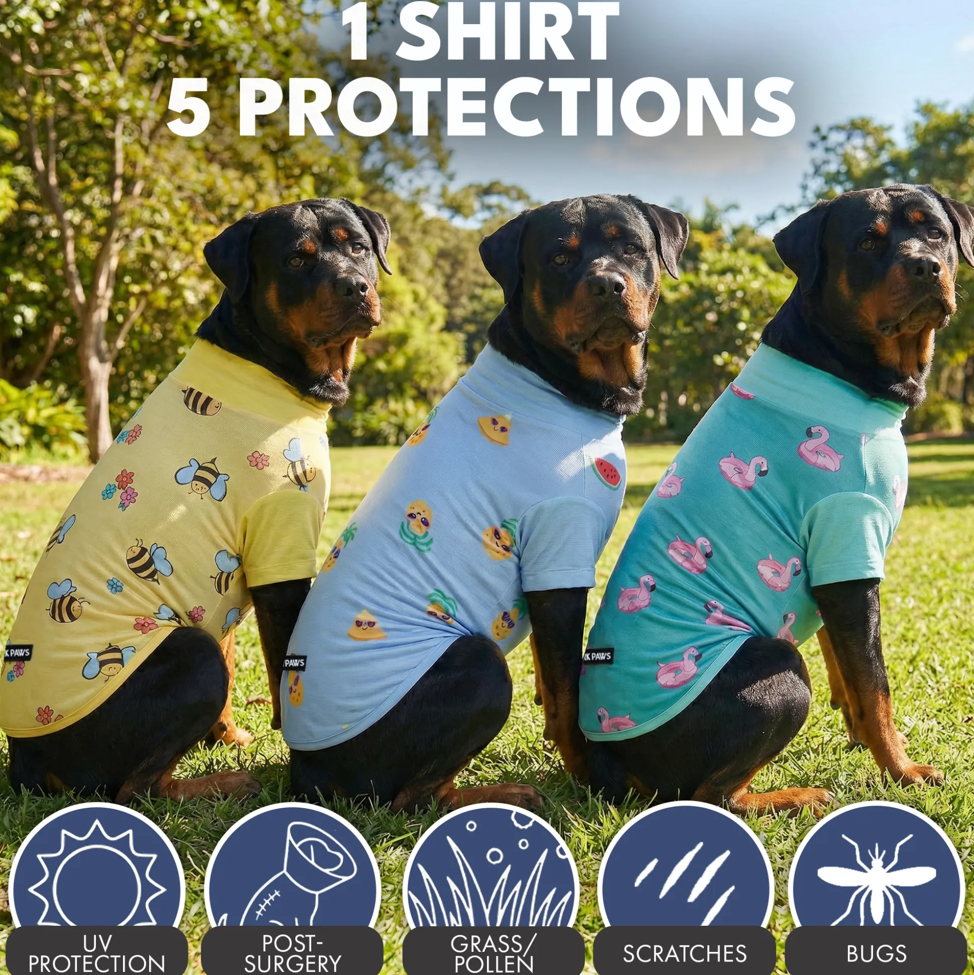 Sunblock T-Shirt 3 Pack