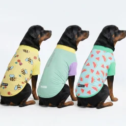 Sunblock T-Shirt 3 Pack