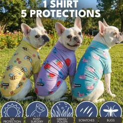 Sunblock T-Shirt 3 Pack