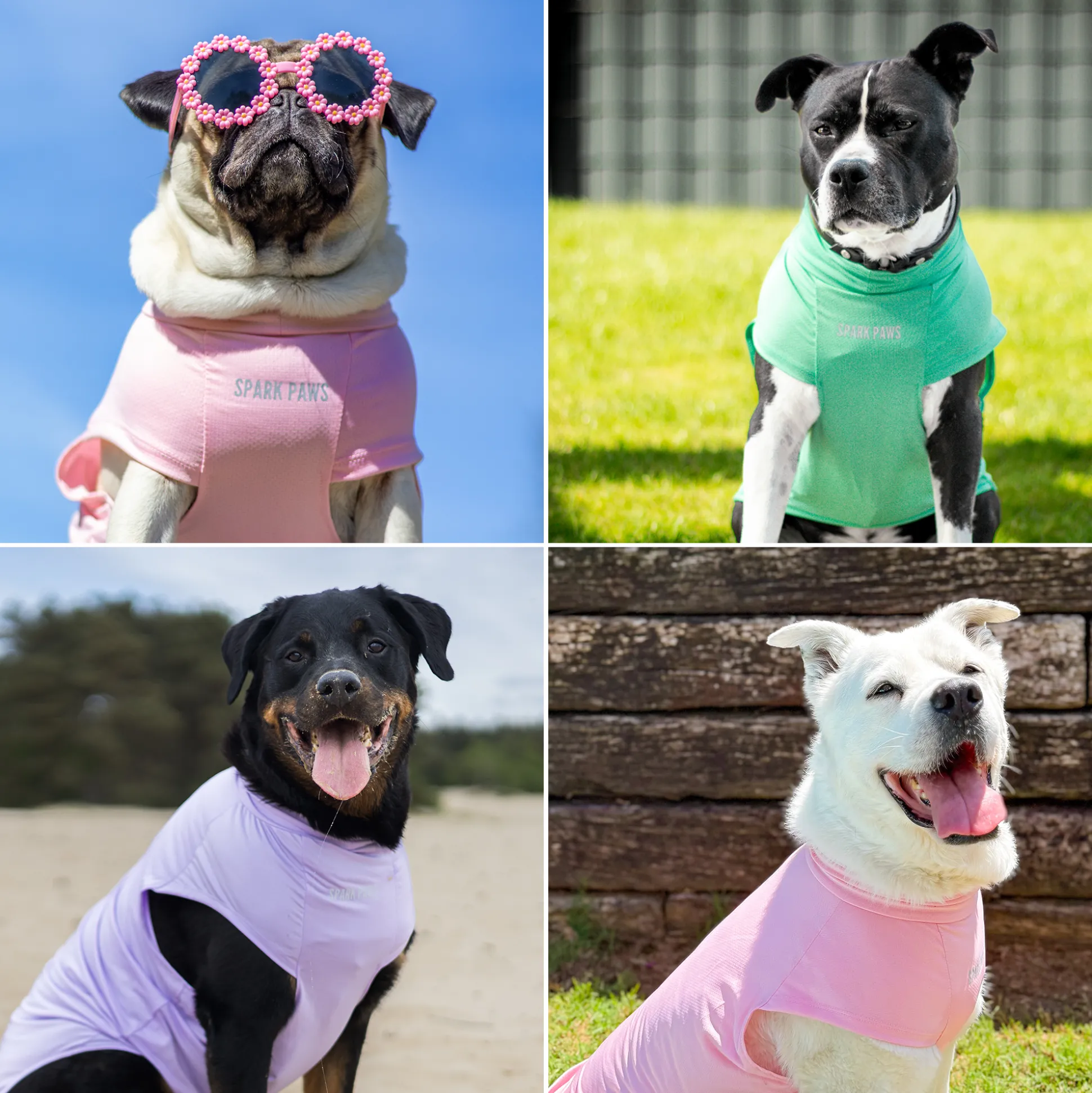 Sunblock T-Shirt 3 Pack