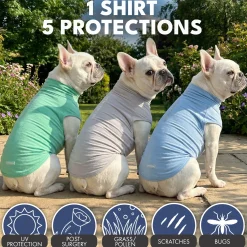 Sunblock T-Shirt 3 Pack