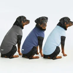 Sunblock T-Shirt 3 Pack