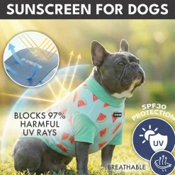 Sunblock T-Shirt 3 Pack