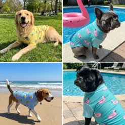 Sunblock T-Shirt 3 Pack
