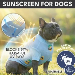 Sunblock T-Shirt 3 Pack