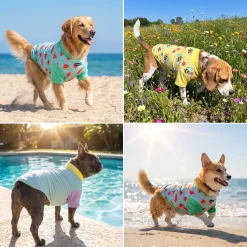 Sunblock T-Shirt 3 Pack