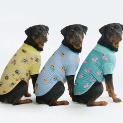 Sunblock T-Shirt 3 Pack