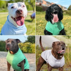 Sunblock T-Shirt 3 Pack