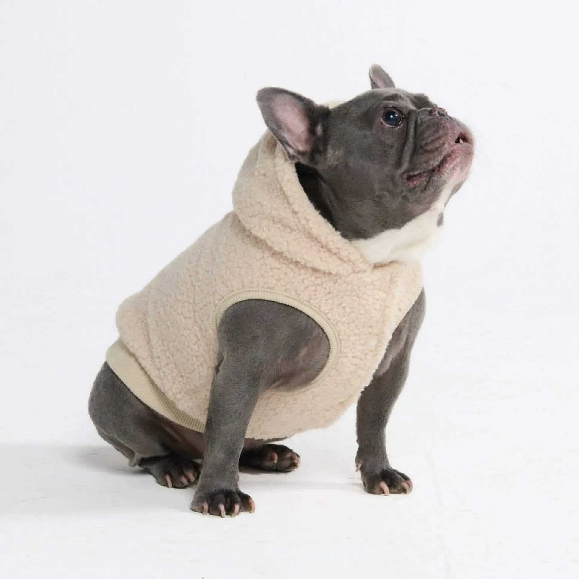 Teddy Sherpa Dog Jacket - Beige