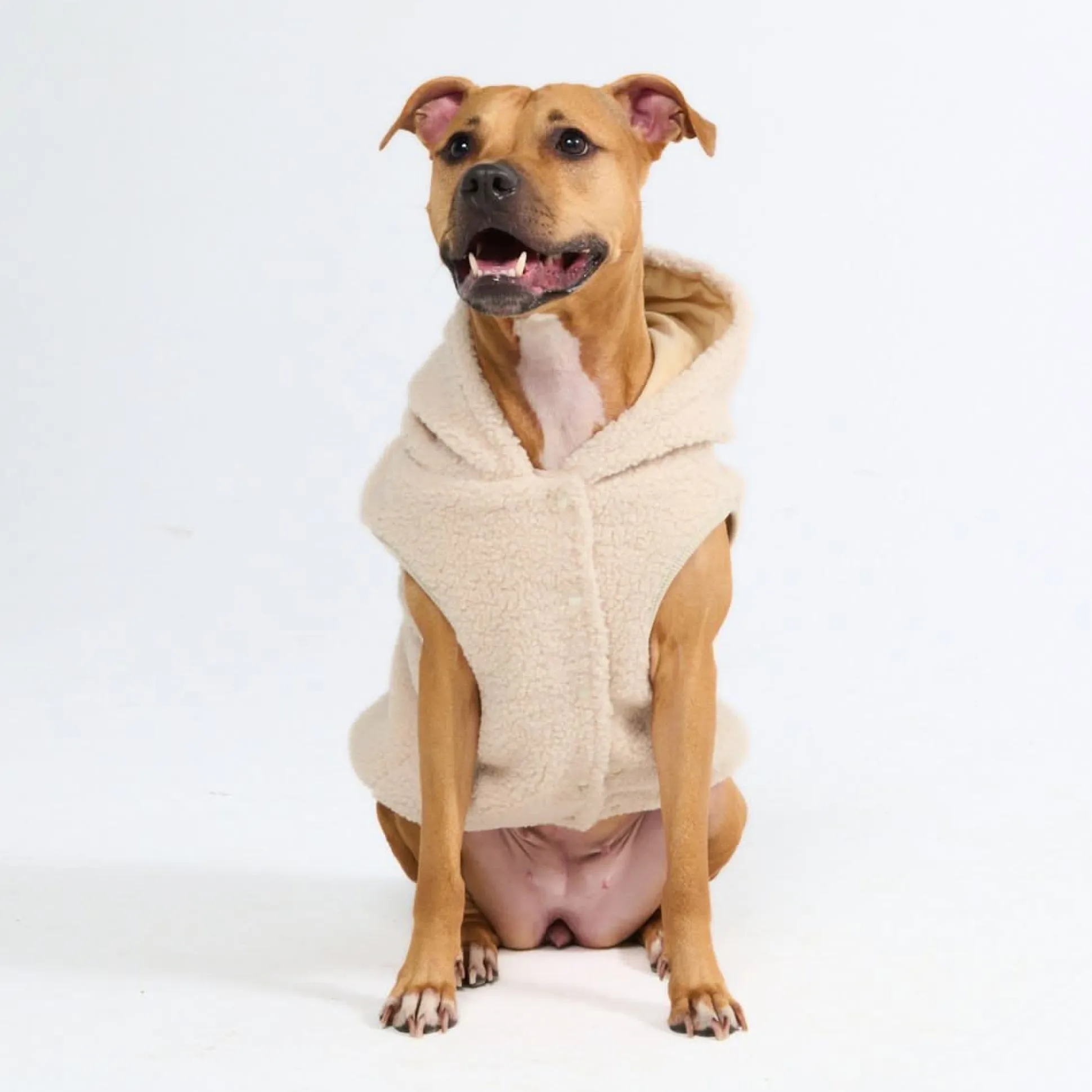 Teddy Sherpa Dog Jacket - Beige