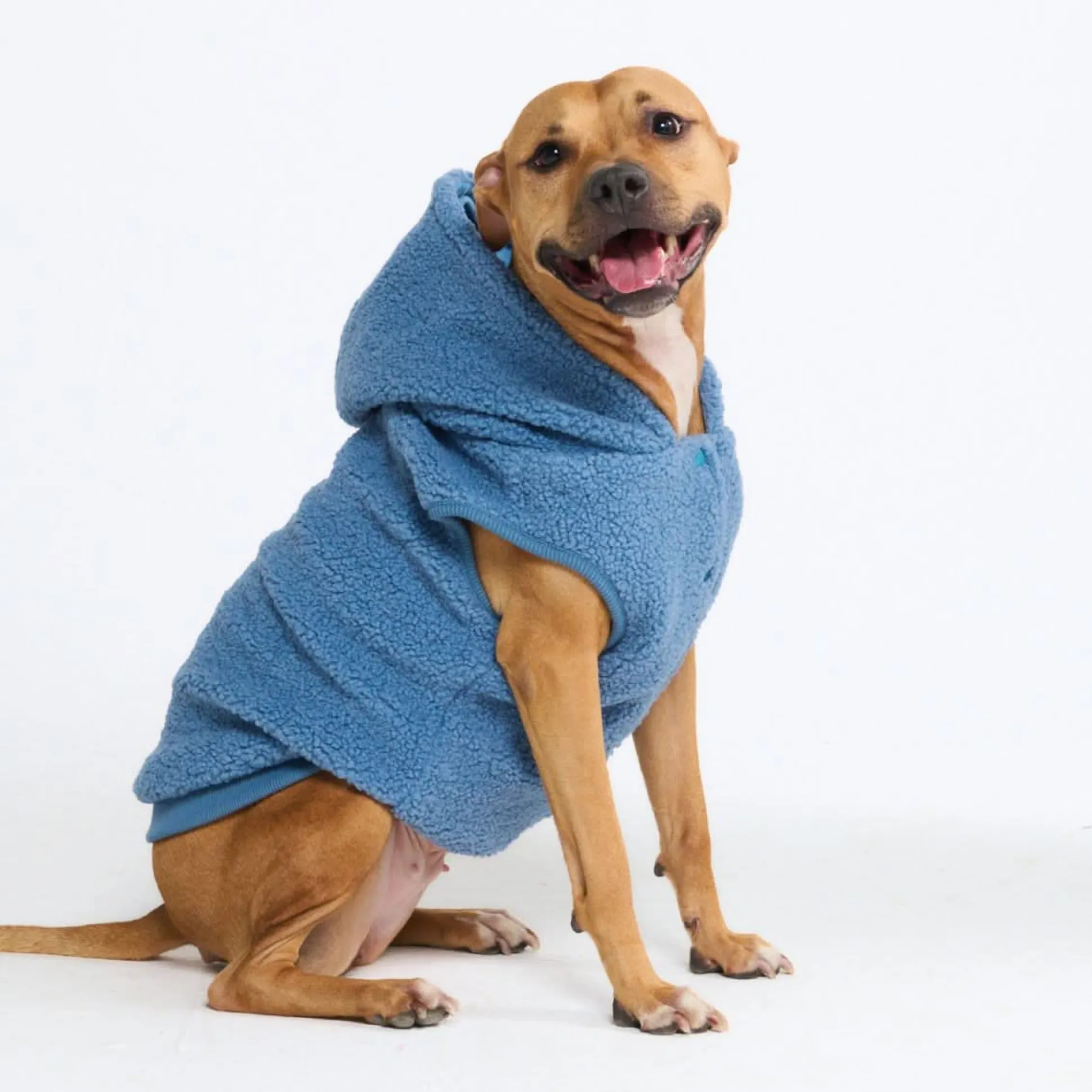 Teddy Sherpa Dog Jacket - Blue