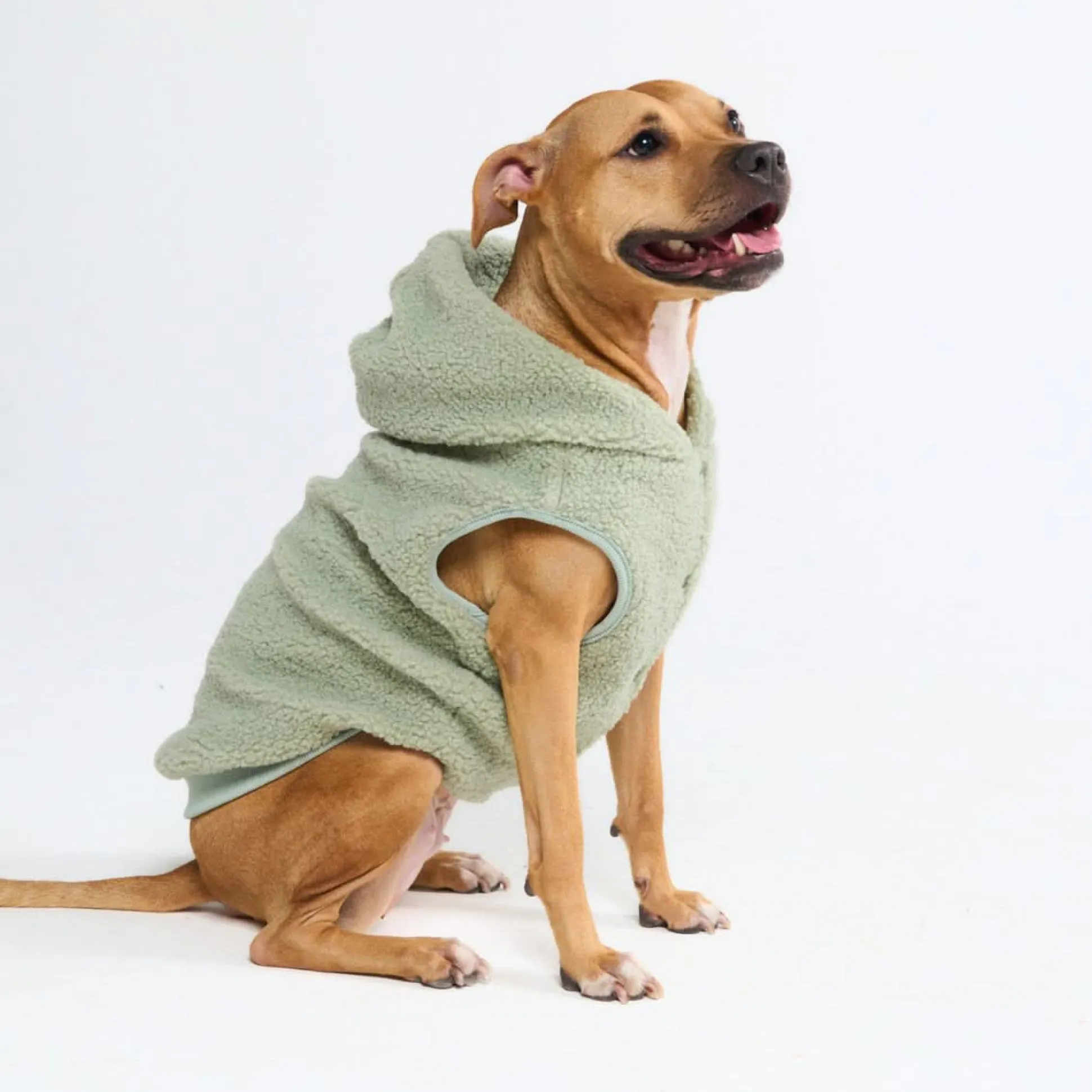 Teddy Sherpa Dog Jacket - Light Green